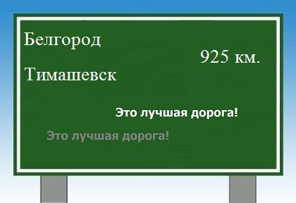 Сколько км от Белгорода до Тимашевска