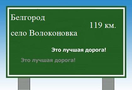 Сколько км от Белгорода до села Волоконовка