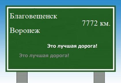 расстояние Благовещенск  &nbsp; Воронеж как добраться