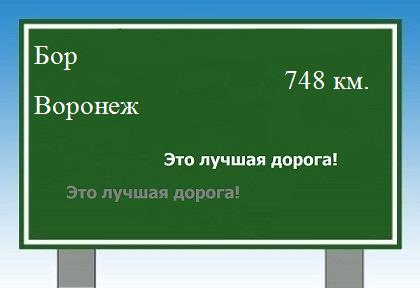 расстояние Бор    Воронеж как добраться