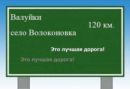 Сколько км от Валуйков до села Волоконовка