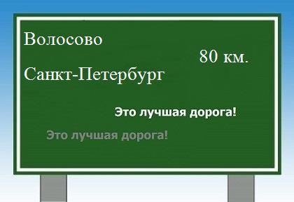 Сколько км от Волосово до Санкт-Петербурга