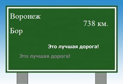 расстояние Воронеж    Бор как добраться