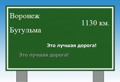 расстояние Воронеж    Бугульма как добраться