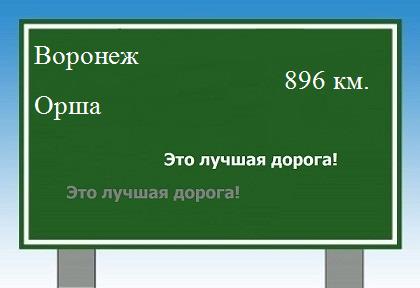 расстояние Воронеж    Орша как добраться