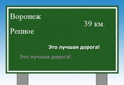 расстояние Воронеж - Репное как добраться