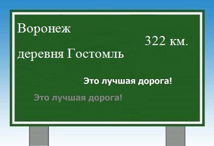 расстояние Воронеж    деревня Гостомль как добраться