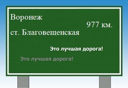 расстояние Воронеж    станица Благовещенская как добраться