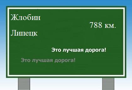 Как проехать из Жлобина в Липецка