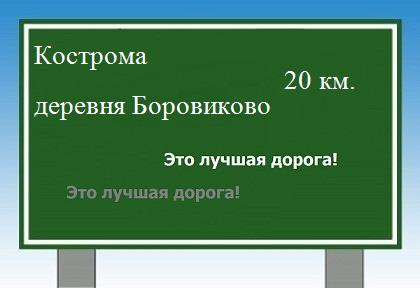 Сколько км от Костромы до деревни Боровиково