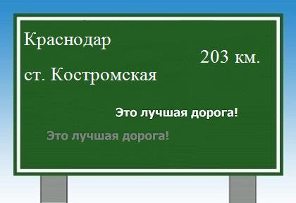 Сколько км от Краснодара до станицы Костромской