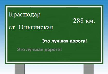 Сколько км от Краснодара до станицы Ольгинской