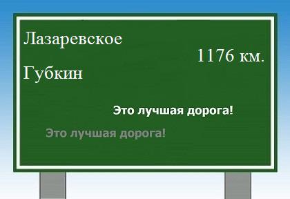 расстояние Лазаревское - Губкин как добраться