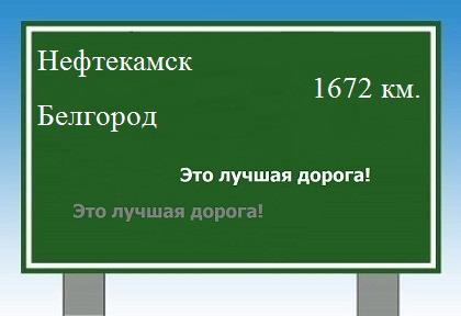 расстояние Нефтекамск    Белгород как добраться