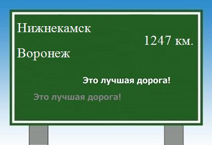 расстояние Нижнекамск    Воронеж как добраться