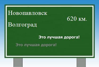 расстояние Новопавловск    Волгоград как добраться