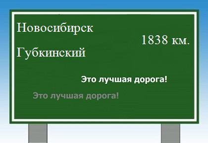 расстояние Новосибирск    Губкинский как добраться