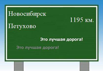 Сколько км от Новосибирска до Петухово