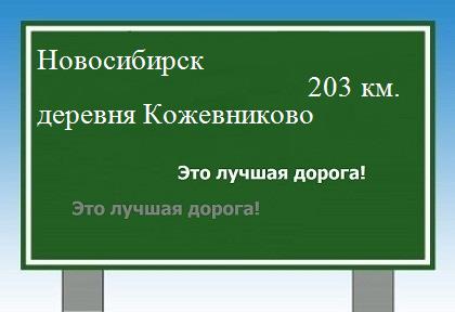 Сколько км от Новосибирска до деревни Кожевниково