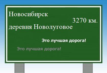 Сколько км от Новосибирска до деревни Новолуговое