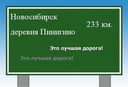 Сколько км от Новосибирска до деревни Пинигино