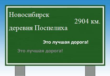 Сколько км от Новосибирска до деревни Поспелиха