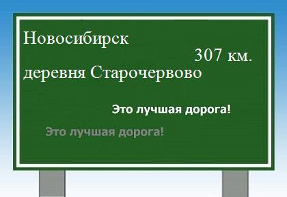 Сколько км от Новосибирска до деревни Старочервово