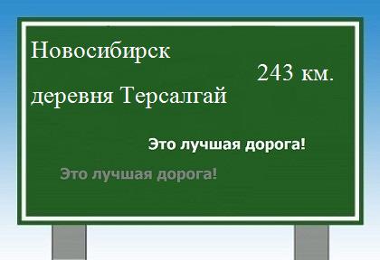 Сколько км от Новосибирска до деревни Терсалгай