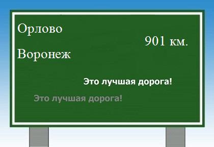 расстояние Орлово    Воронеж как добраться