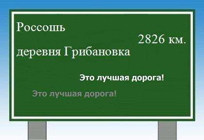 расстояние Россошь  &nbsp; деревня Грибановка как добраться