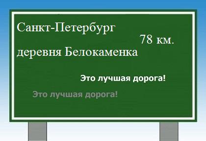 Карта от Санкт-Петербурга до деревни Белокаменки