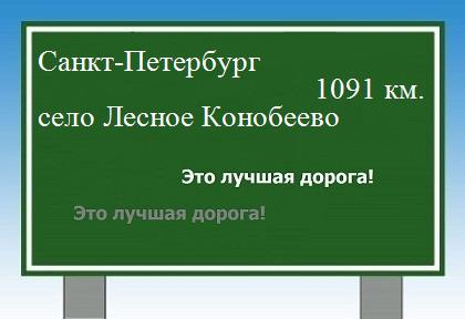 расстояние Санкт-Петербург    село Лесное Конобеево как добраться