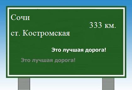 Сколько км от Сочи до станицы Костромской