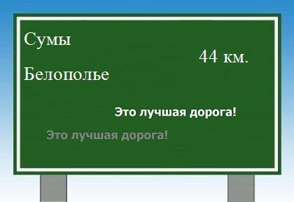 Сколько км от Сум до Белополья