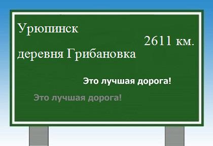 расстояние Урюпинск    деревня Грибановка как добраться