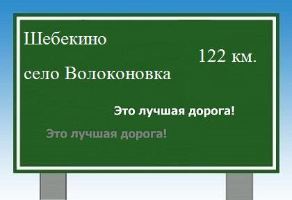Сколько км от Шебекино до села Волоконовка