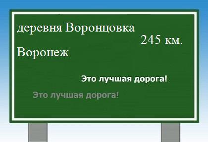расстояние деревня Воронцовка    Воронеж как добраться