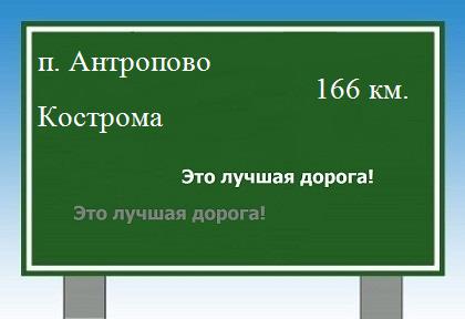 Сколько км от поселка Антропово до Костромы