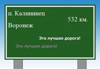 Сколько км от поселка Калининец до Воронежа