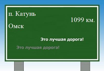 Дорога из поселка Катунь в Омска