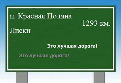 расстояние поселок Красная Поляна    Лиски как добраться