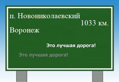 расстояние поселок Новониколаевский    Воронеж как добраться