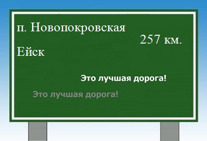 Сколько км от поселка Новопокровская до Ейска