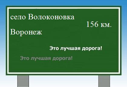 Сколько км от села Волоконовка до Воронежа