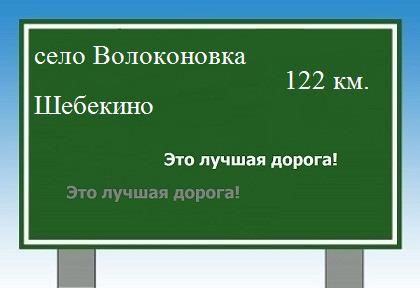 Сколько км от села Волоконовка до Шебекино