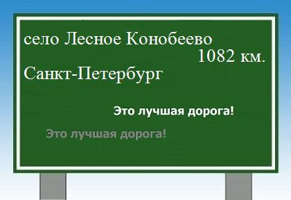 расстояние село Лесное Конобеево    Санкт-Петербург как добраться