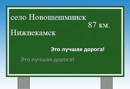 Сколько км от села Новошешминск до Нижнекамска