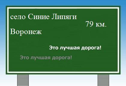 Маршрут от села Синие Липяги до Воронежа