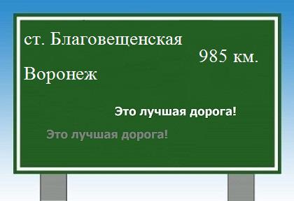 Сколько км от станицы Благовещенской до Воронежа