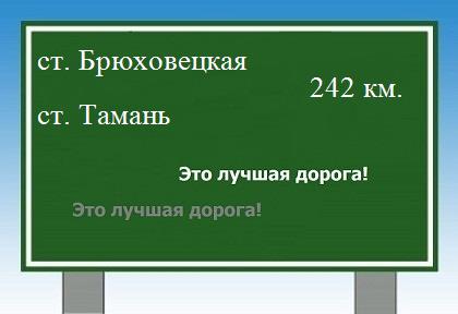 расстояние станица Брюховецкая    станица Тамань как добраться